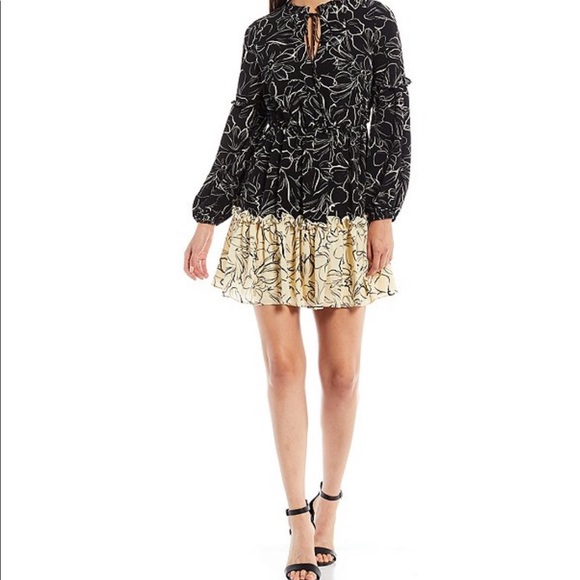 Mini Ruffle Dress - Picture 1 of 5